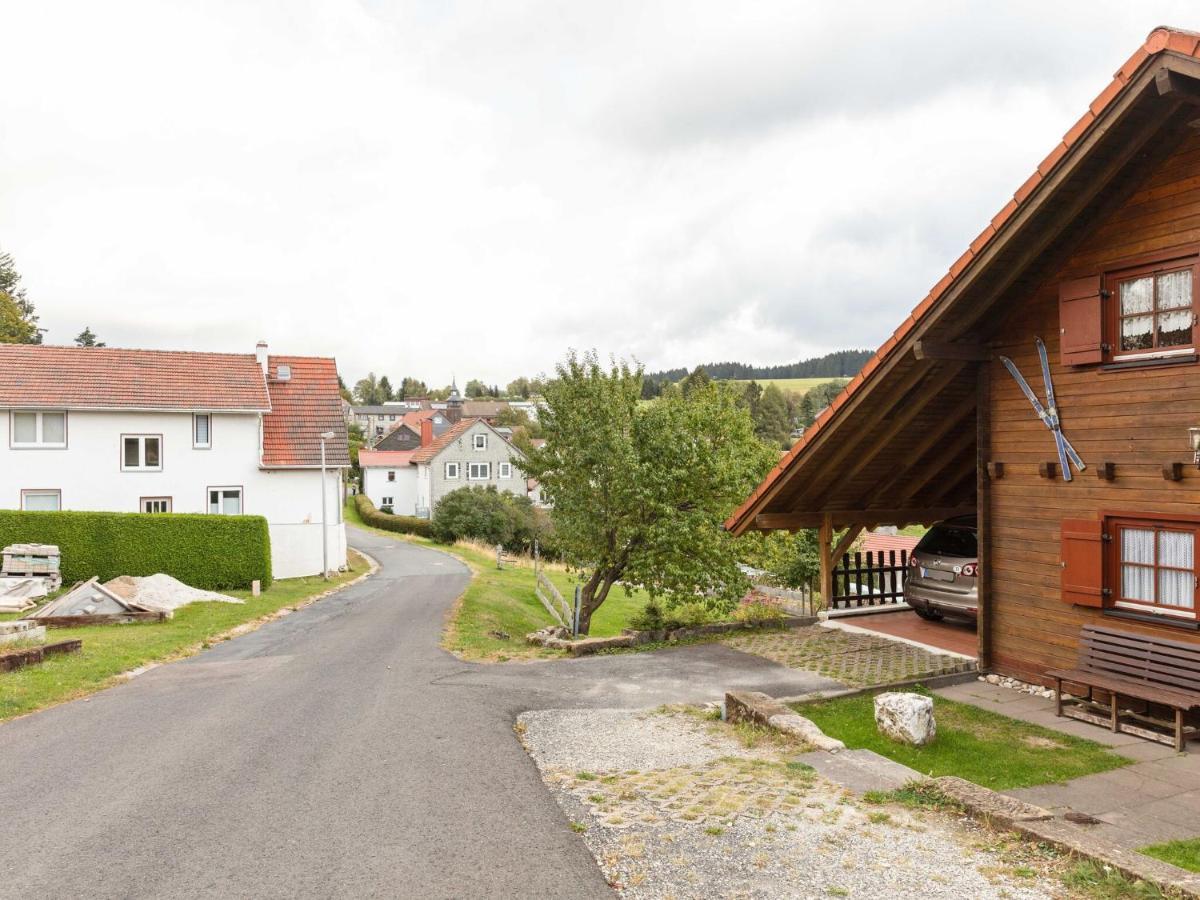 Chalet In Hinterrod Thuringia With Sauna Eisfeld Exterior photo